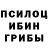 Галлюциногенные грибы GOLDEN TEACHER Sabit Shorabekov