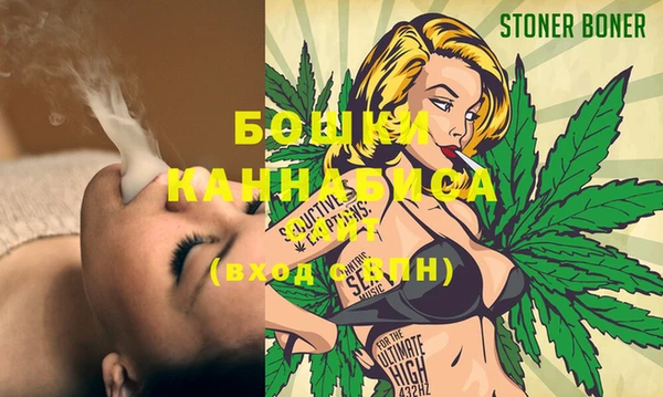 винт Слюдянка